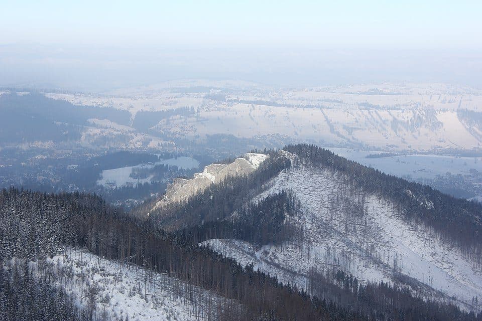 Nosal — zdjęcie 3