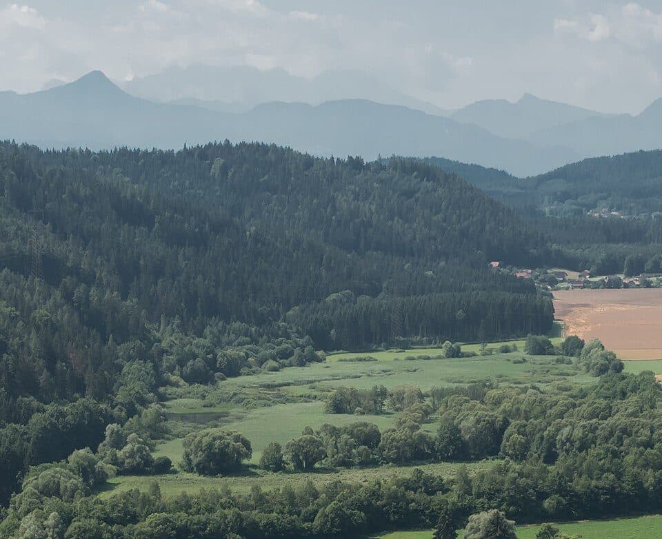 Griffner See
