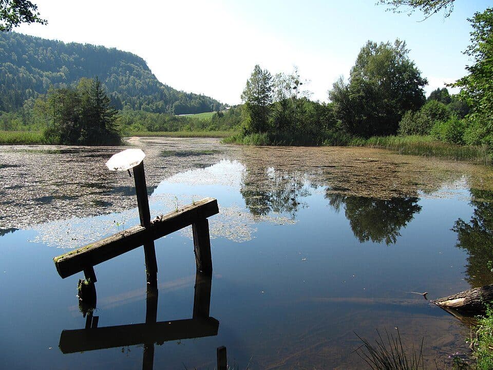 Penkensee — zdjęcie 2