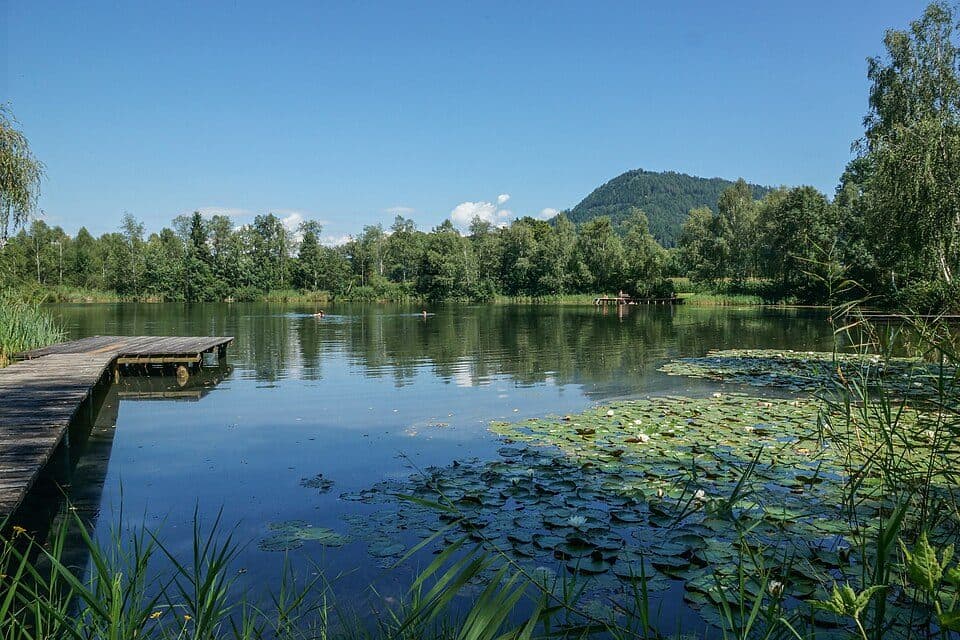 Zmulner See — zdjęcie 2