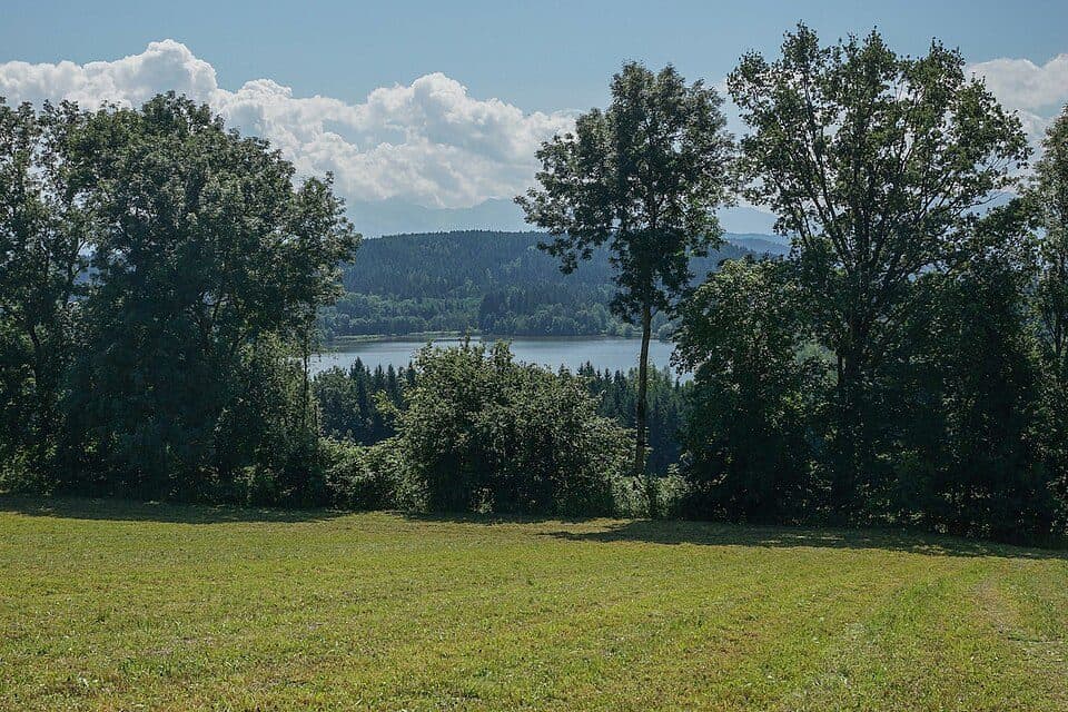 Strußnigteich — zdjęcie 2
