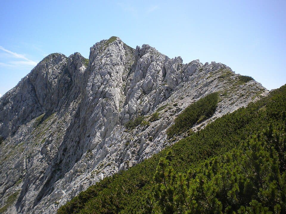 Viševnik