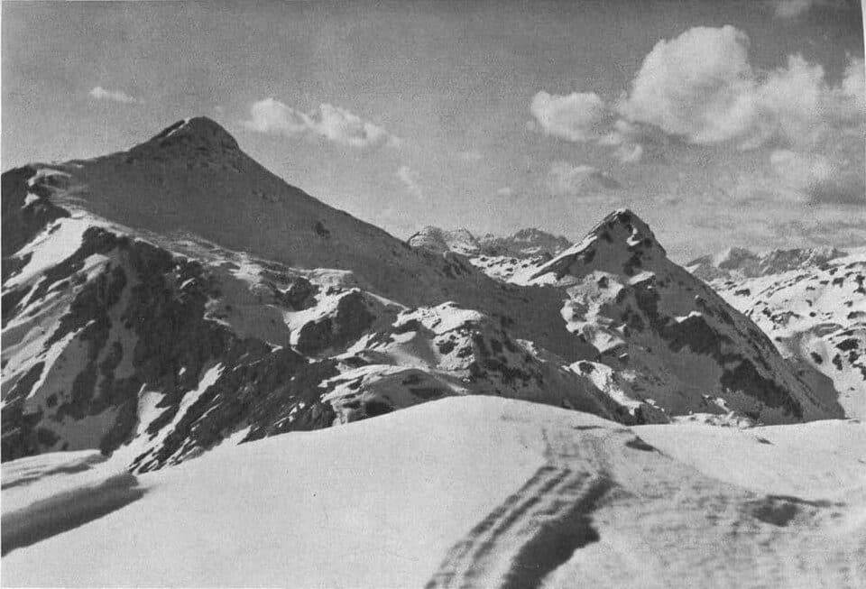 Mahavšček