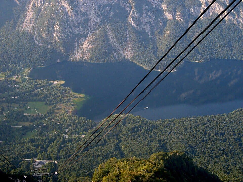 Vogel — 2. fotó