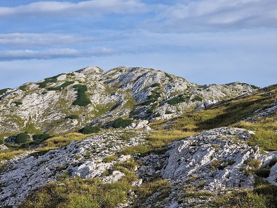 Lanževica