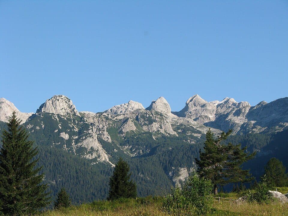 Vrh Hribaric — zdjęcie 3