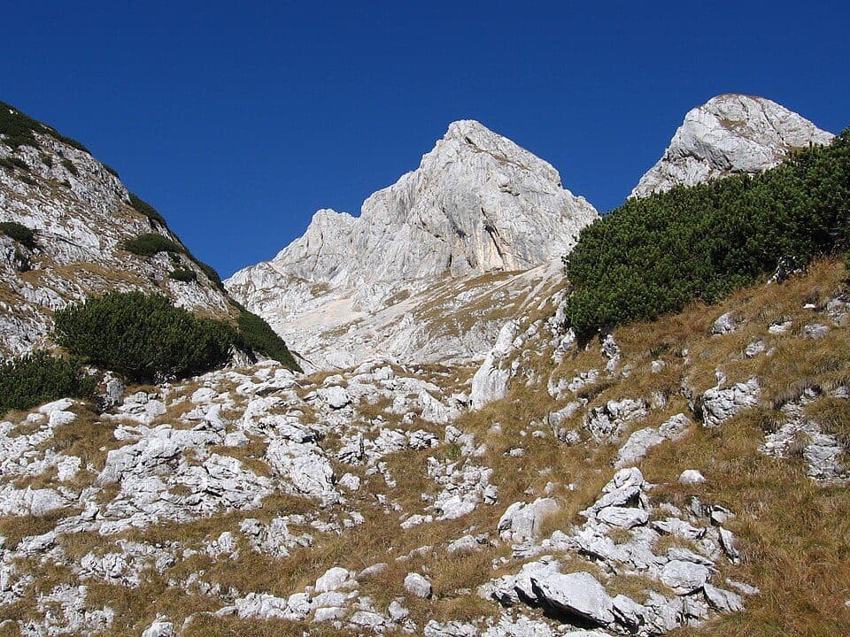 Škednjovec