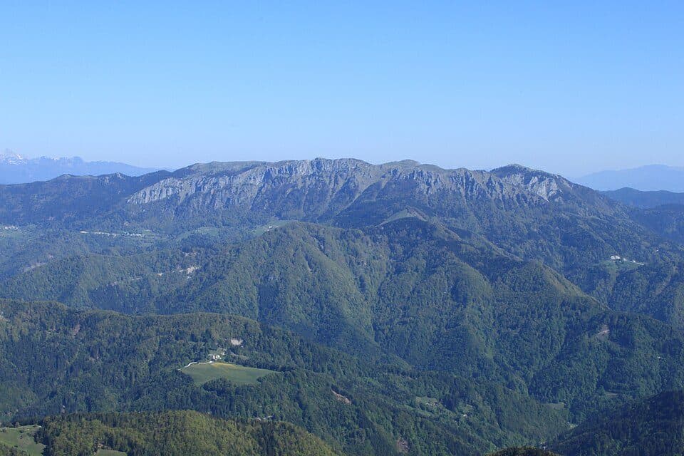 Altemaver