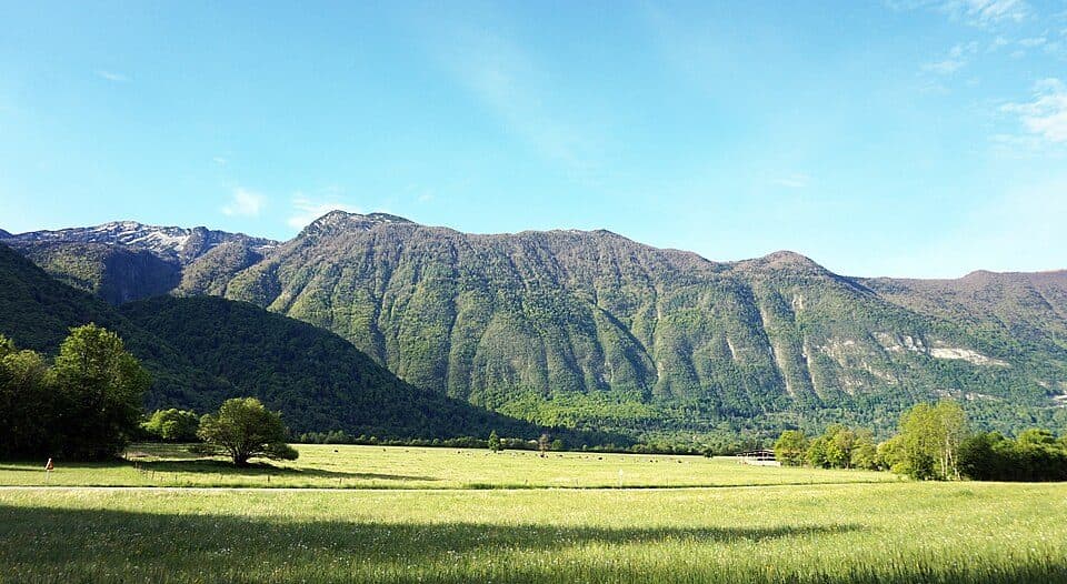 Polovnik