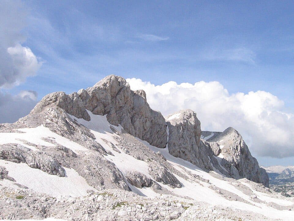 Vršaki