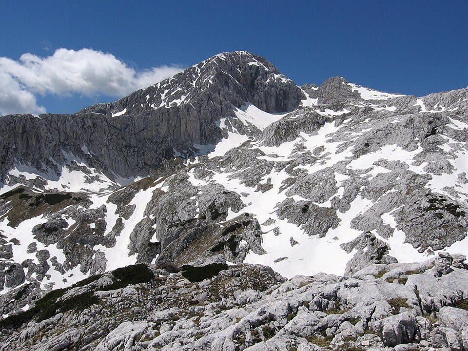 Grintovec — fotografie 3