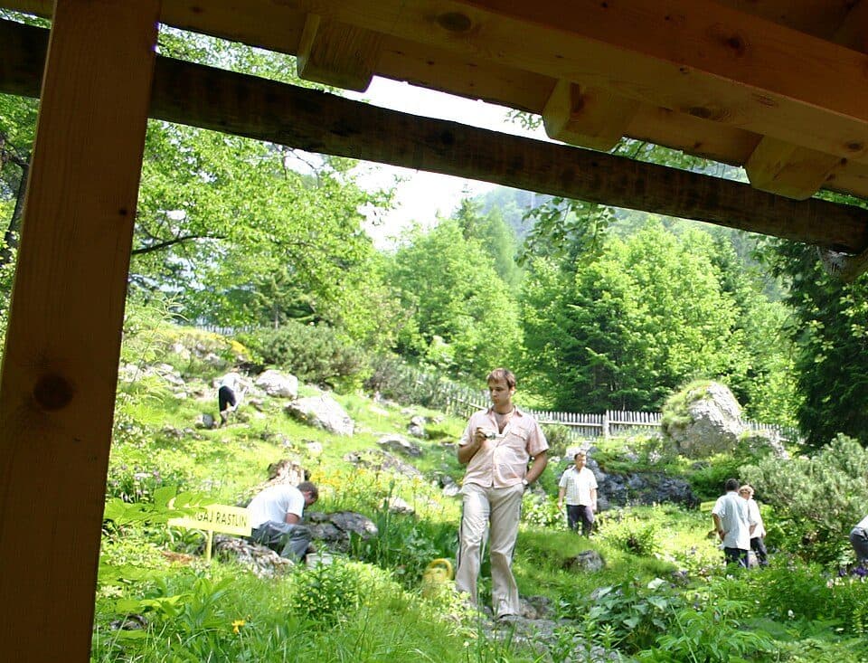 Alpine Botanical Garden Juliana — fotografie 2
