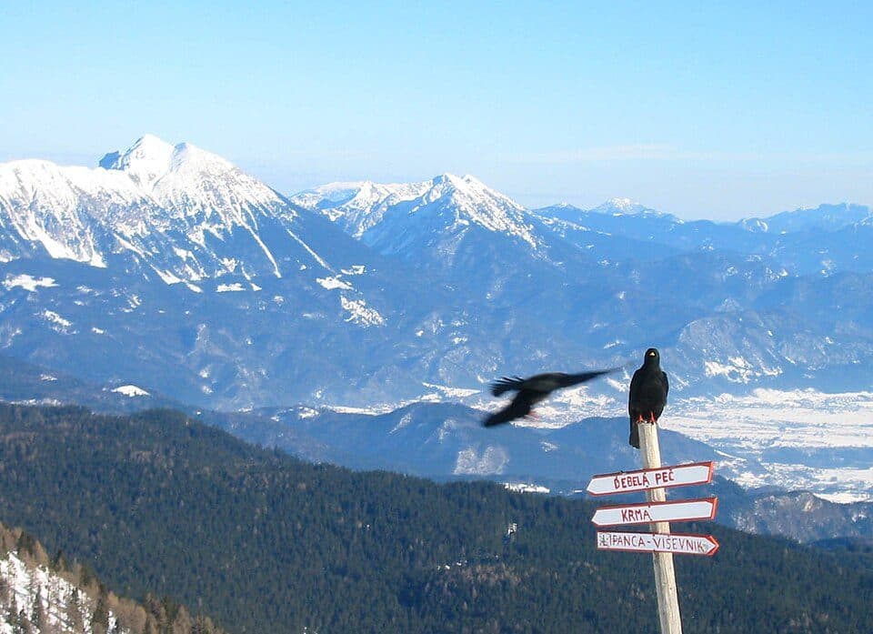 Blejska koča na Lipanci — fotografie 3