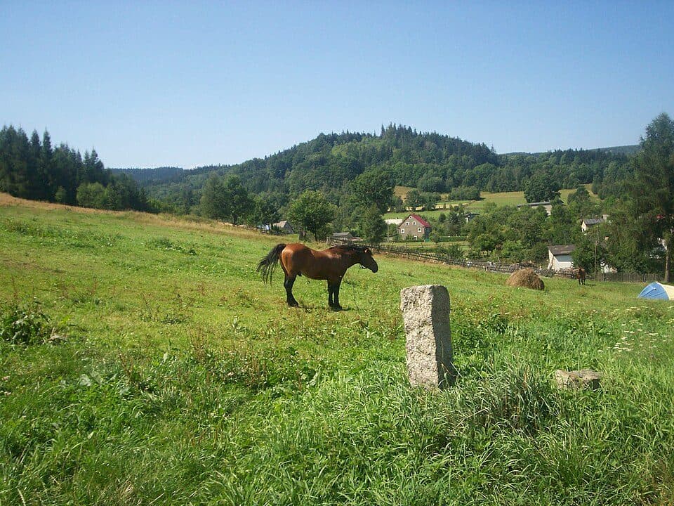 Ciechanowice - Wieściszowice