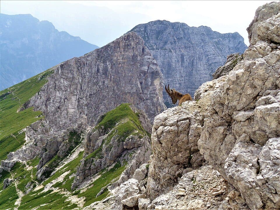 Parco naturale regionale delle Prealpi Giulie / Parc naturâl regjonâl des Prealps Juliis — fotografie 2