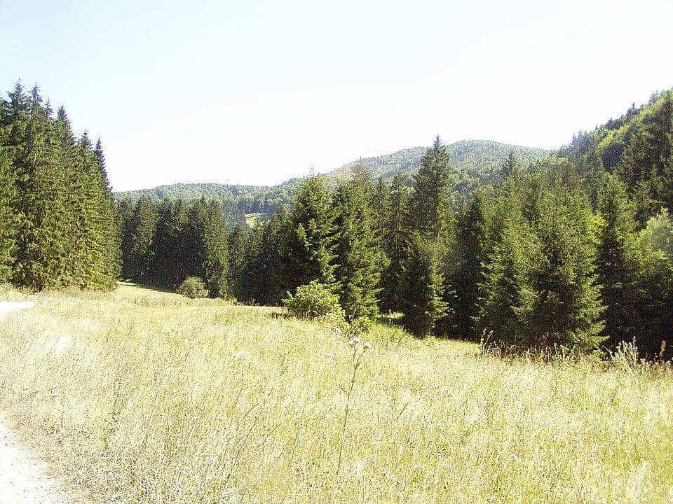 Chata pod Borišovom, rázcestie - Belá