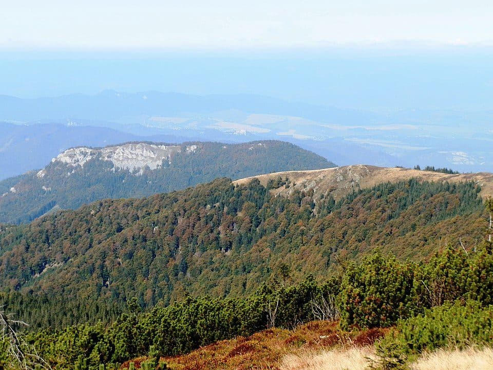 Skalka (1 308,4 m n. m.)