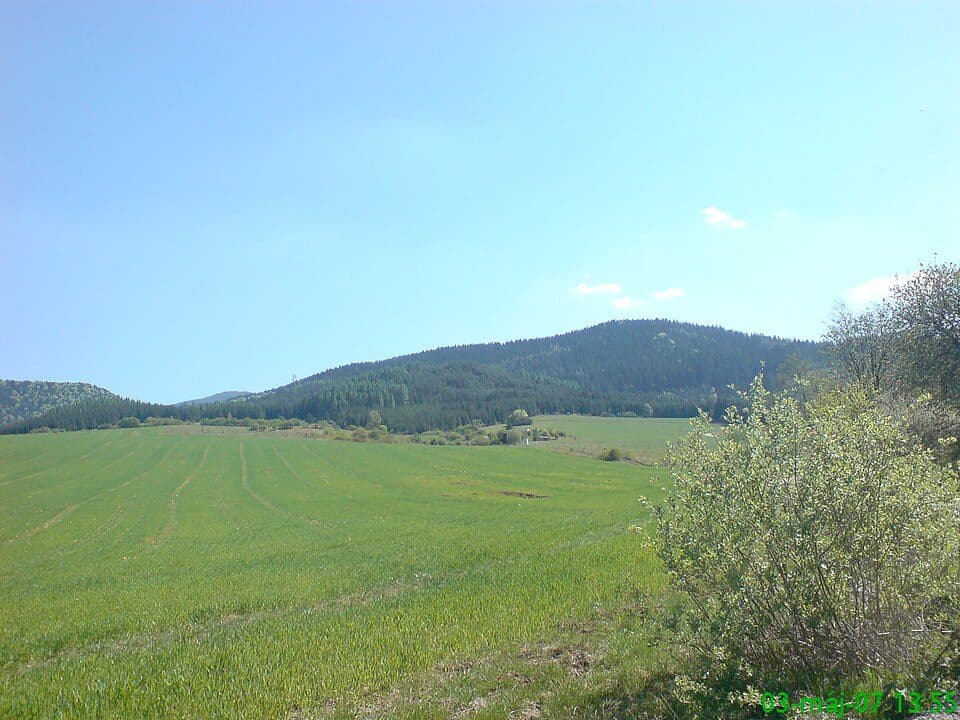Mikušová