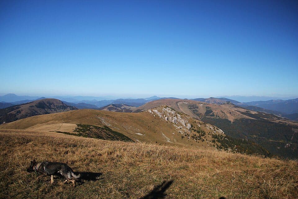 Koniarky - Balcierovo