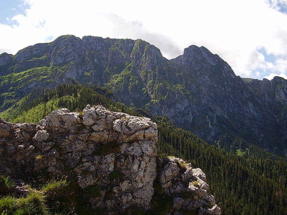 Hala Kondratowa - Przełęcz pod Kopą Kondracką