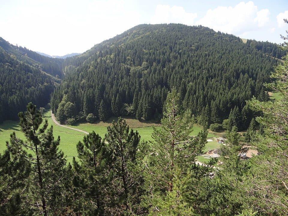 Malinné (vrch vo Veľkej Fatre)