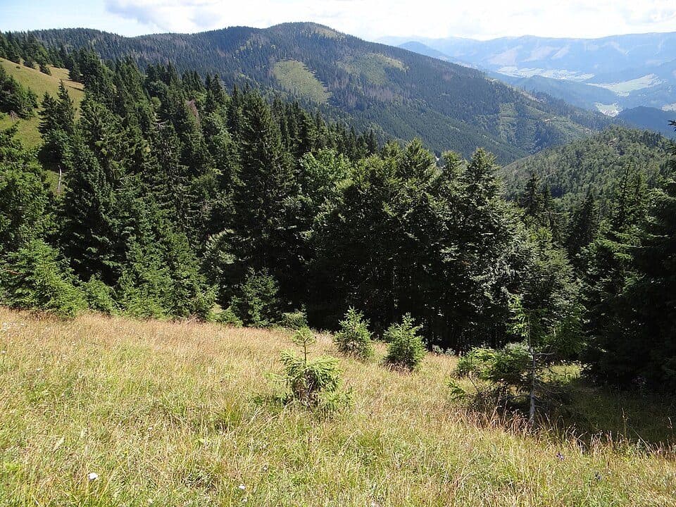 Smrekovica (Wielka Fatra) — zdjęcie 1