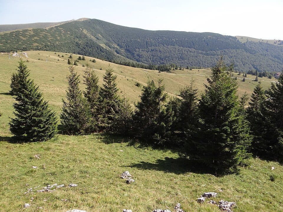 Malá Krížna