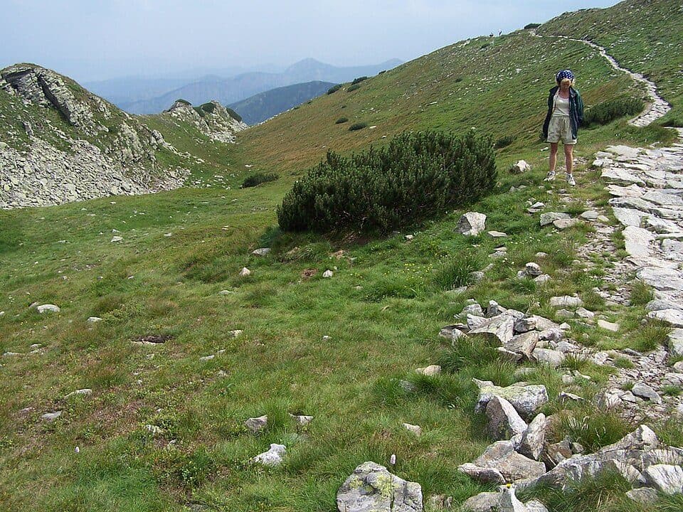Przełęcz w Grzybowcu - Wyżnia Kondracka Przełęcz