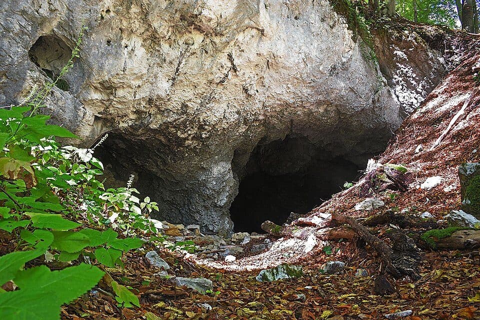 Špehovka — photo 2