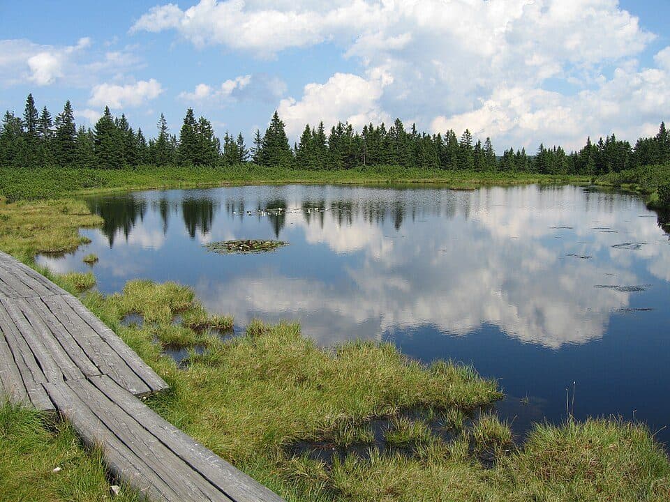 Ribniško jezero — fotografie 2
