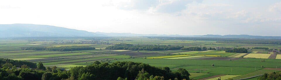Dravsko polje — zdjęcie 1