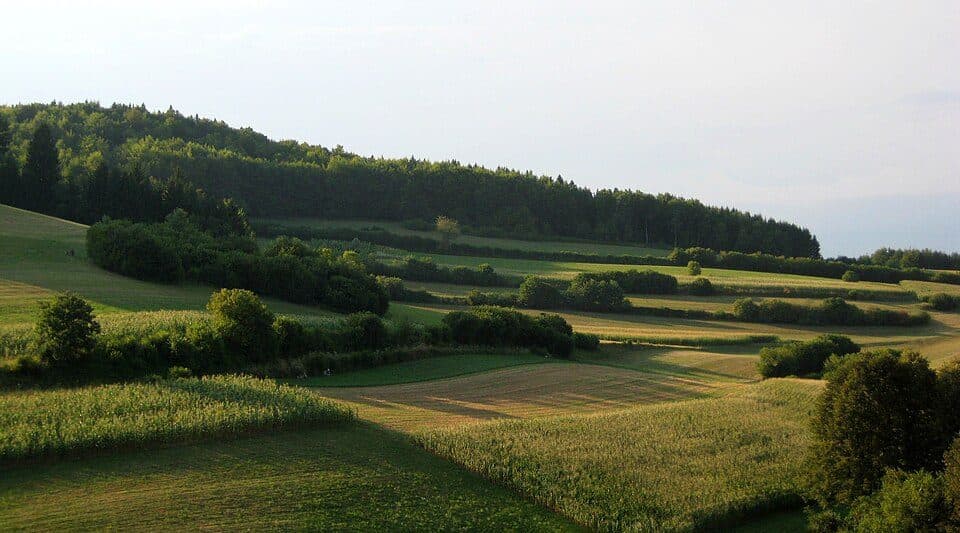 Suha krajina
