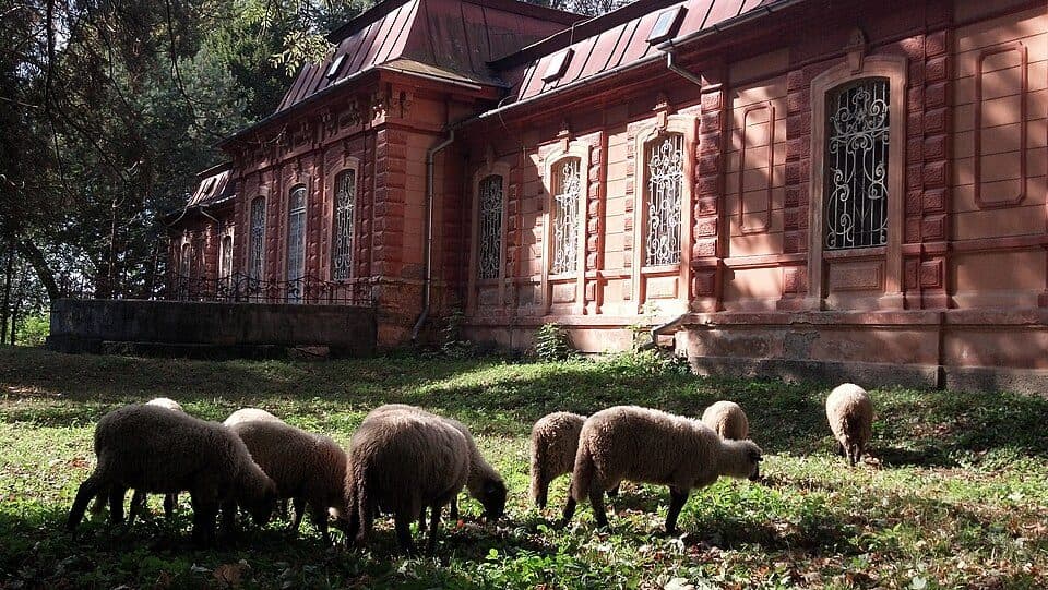 Tornaľa, stanica - Ružový kopec, štátna hranica
