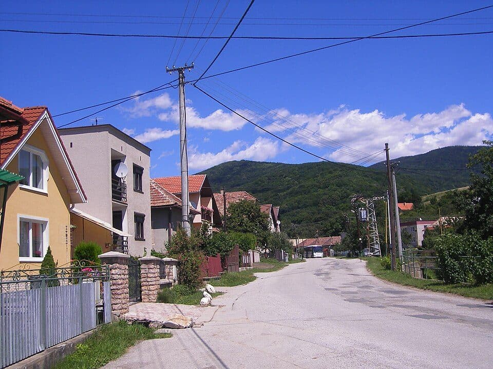 Pača — zdjęcie 1