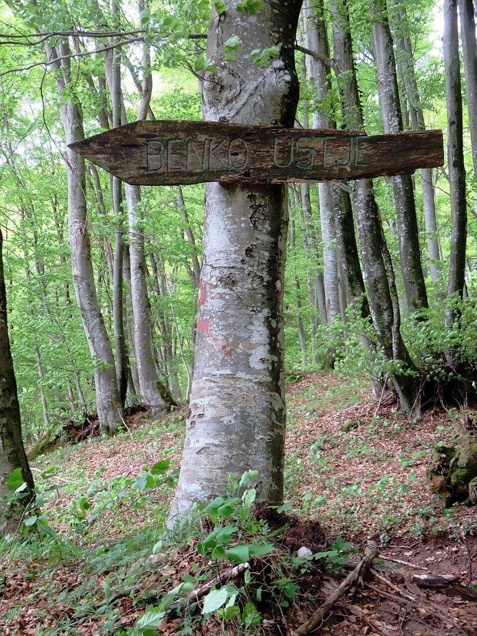 Ustje — zdjęcie 2