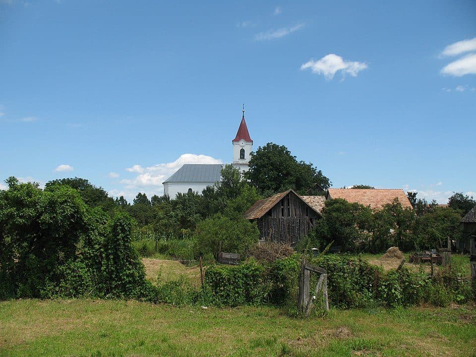 Kaloša — zdjęcie 1