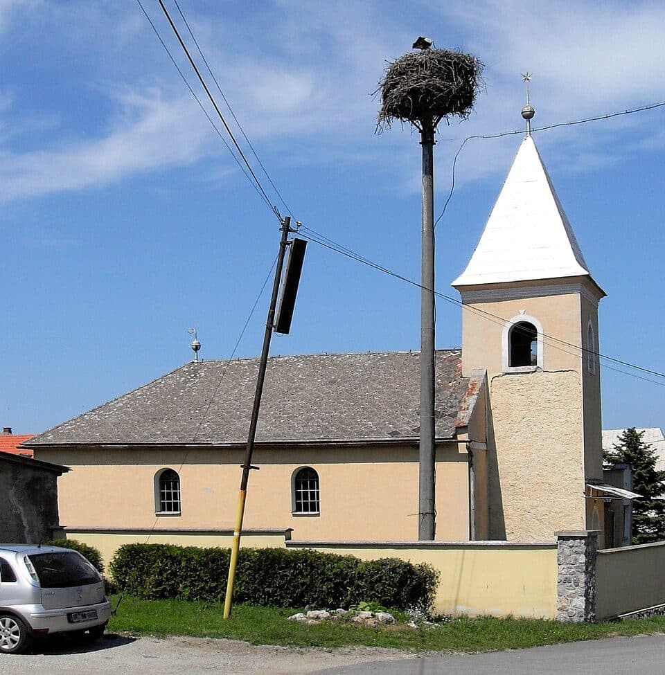 Buzica — zdjęcie 1