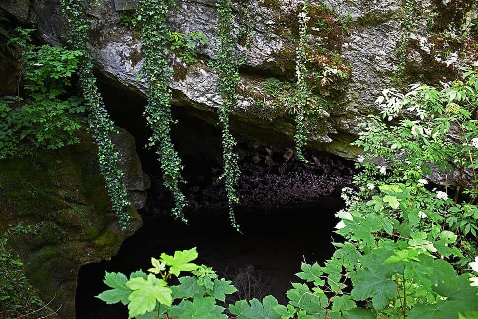 Tkalca jama — zdjęcie 2