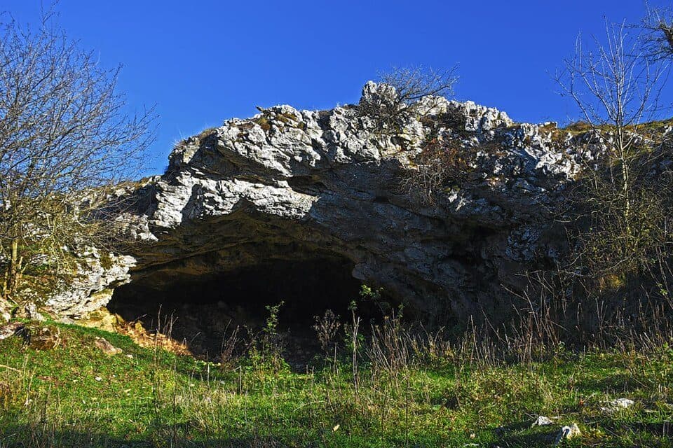 Parska golobina — zdjęcie 2