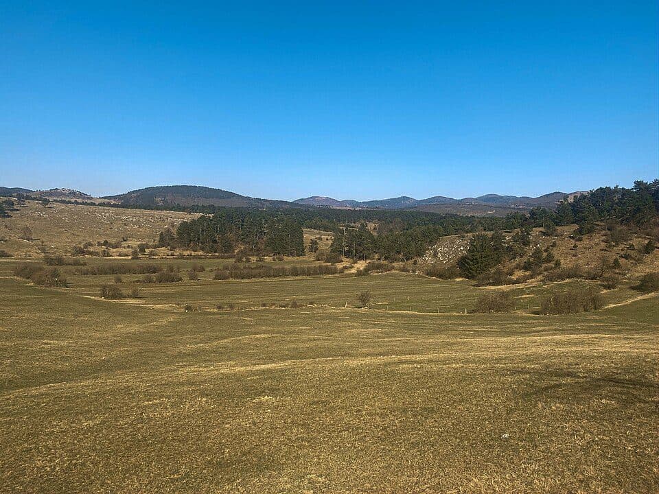Bačko jezero — zdjęcie 2