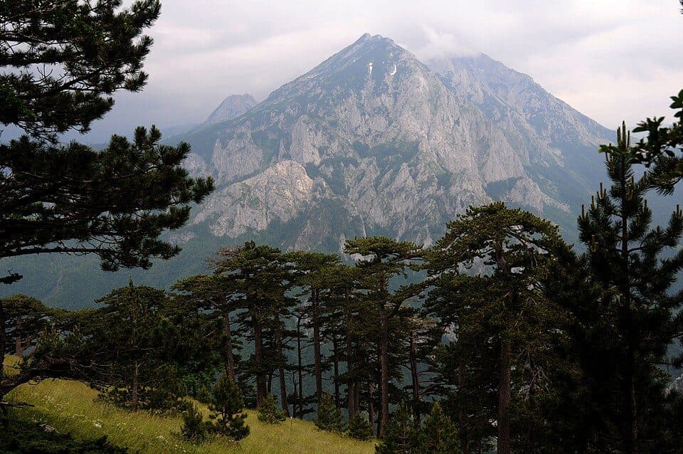 Bioć/Maglić/Volujak/Vlasulja — zdjęcie 2