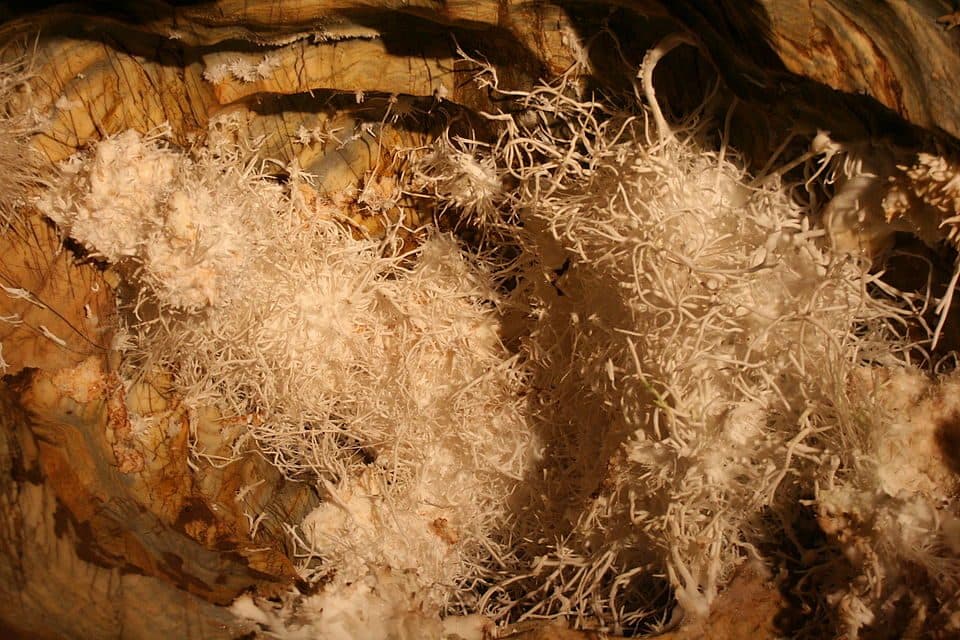 Jaskinia Aragonitowa w Ochtinej