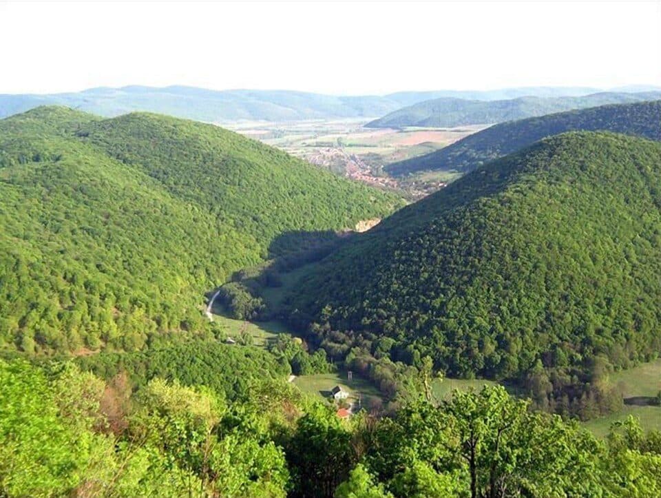K▙ (Várkert – Szádvár)