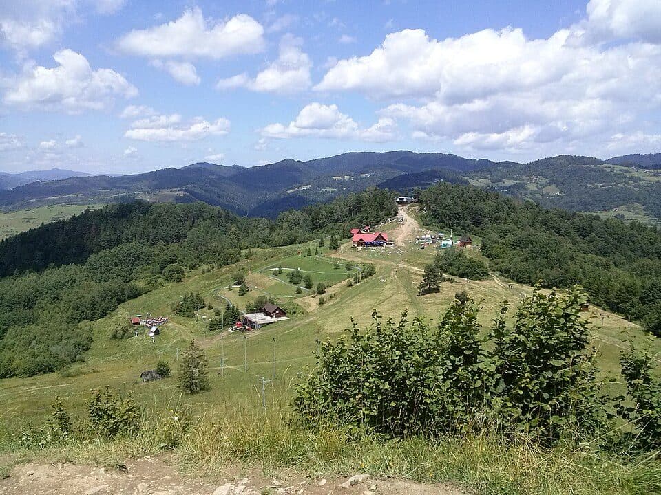Szafranówka — zdjęcie 3