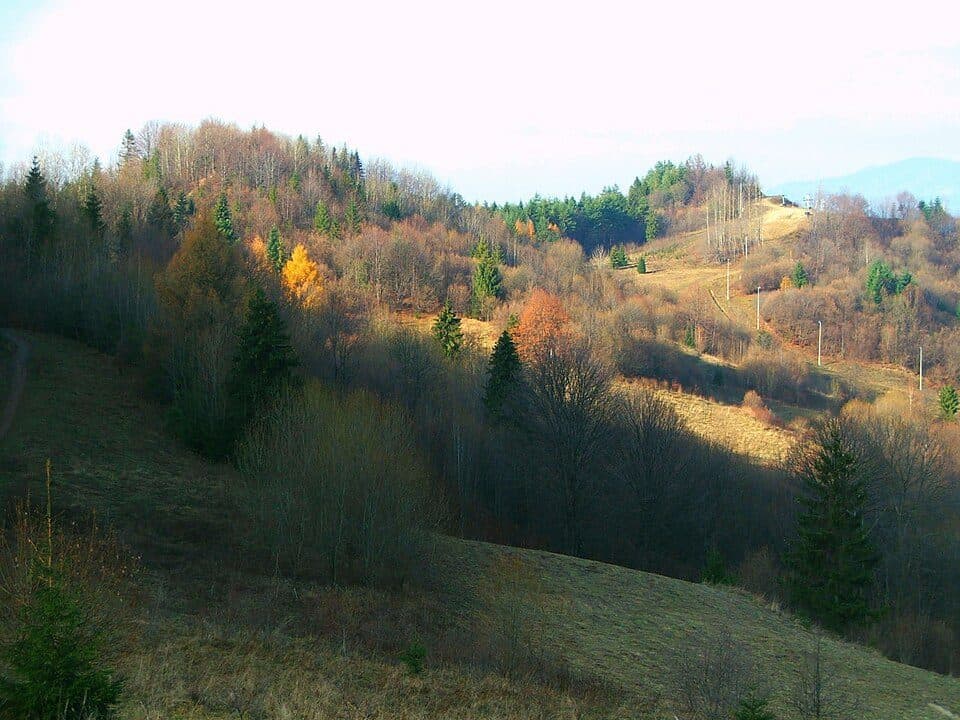 Przehyba - Szczawnica Zdrój