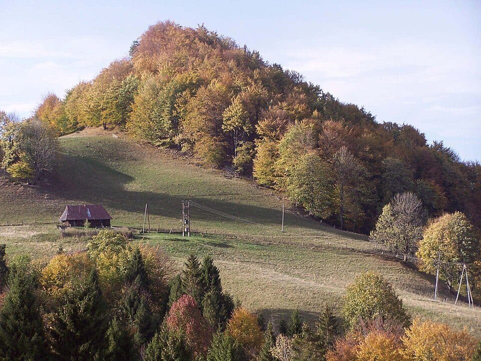 Skała (Pieniny)