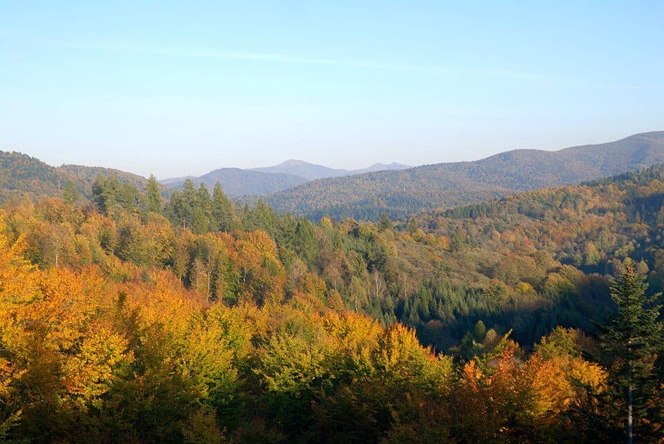 Przełęcz nad Roztokami - Hyrlata - Żubracze - Wołosań