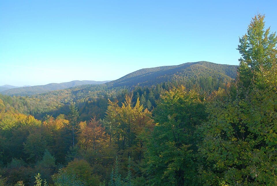 Przełęcz nad Roztokami - Hyrlata - Żubracze - Wołosań