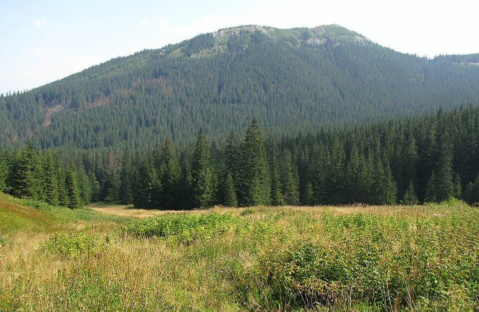 Toporowa Cyrhla - Hala Kopieniec