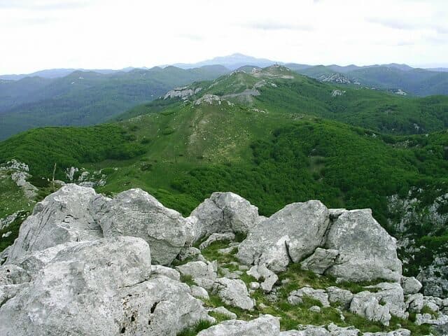 Snježnik — zdjęcie 2